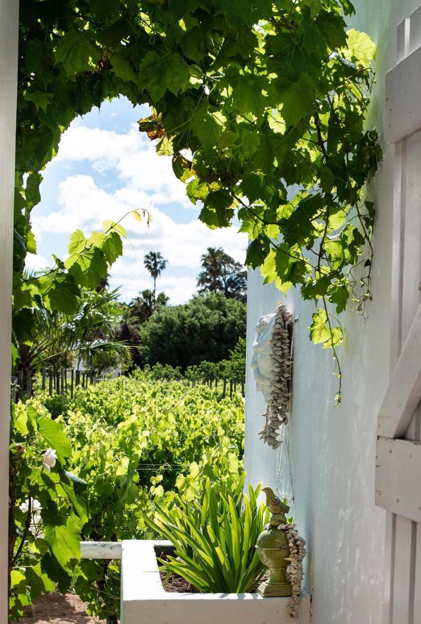 The Vineyard Country House Hotel Montagu Exterior photo