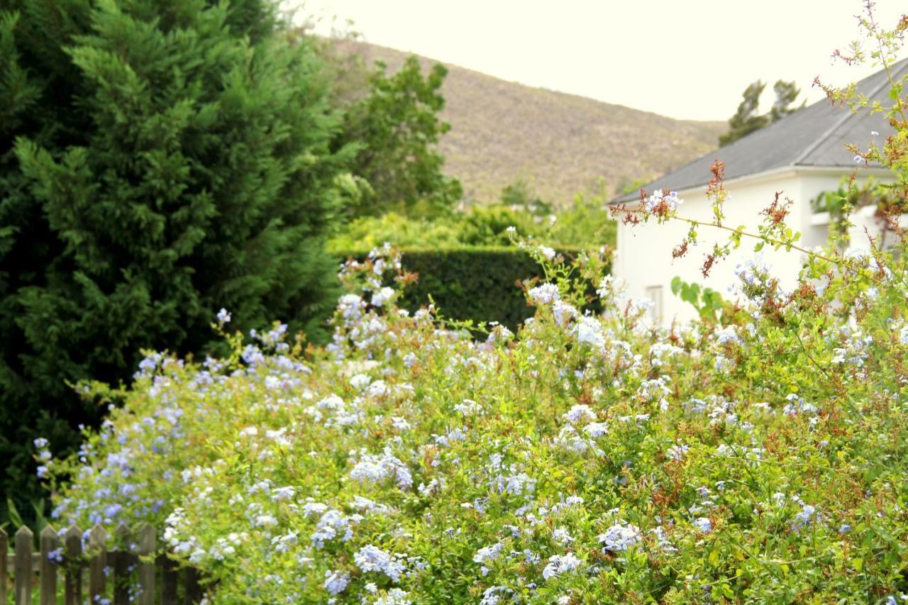 The Vineyard Country House Hotel Montagu Exterior photo