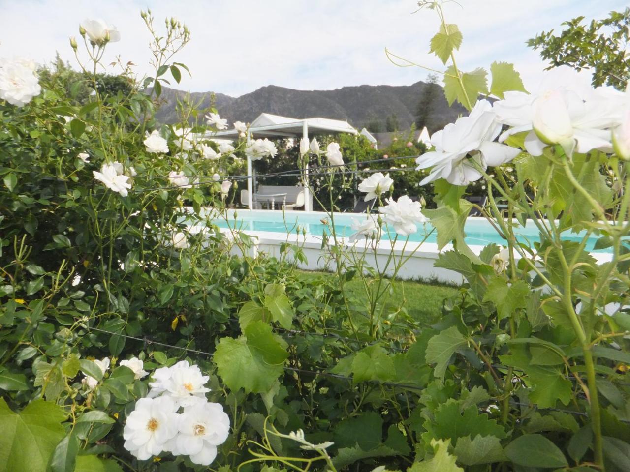 The Vineyard Country House Hotel Montagu Exterior photo